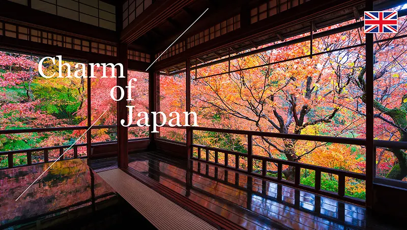 日本の魅力（イギリス英語）